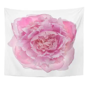 

Bloom Beautiful Pink Peony Flower White Top View Beauty Blooming Blossom Home Decor Tapestry Wall Hanging for Living Room