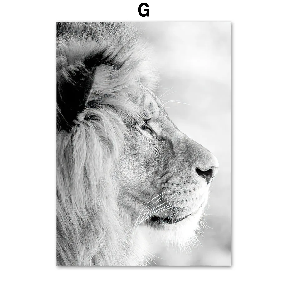 Lion-Tiger-Elephant-Nordic-Vintage-Poster-Green-plants-cactus-Wall-Art-Print-Canvas-Painting-Wall-Pictures (9)