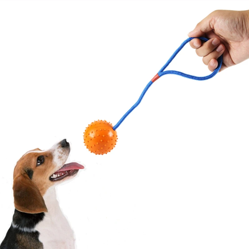 Are Rubber Balls Safe For Dogs