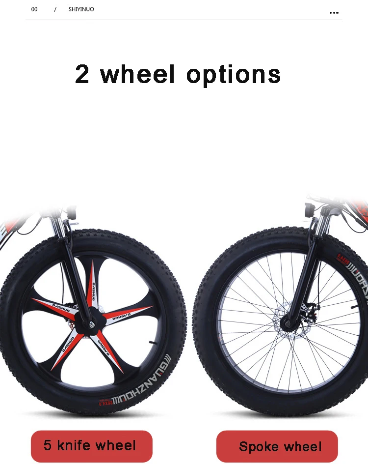 electric bike big tires