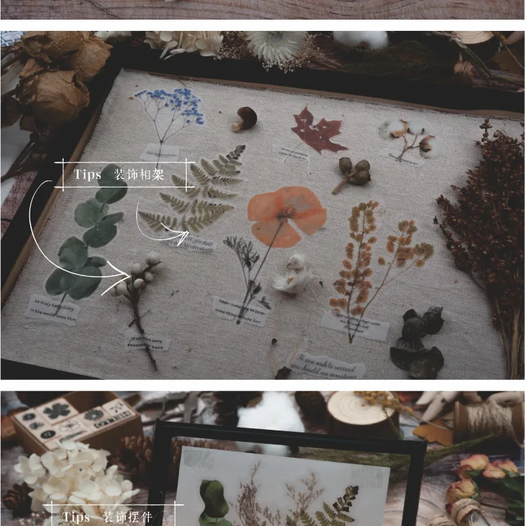 Коллекция сухих цветов серия PET Bullet Journal Декоративные Канцелярские наклейки Скрапбукинг DIY дневник альбом палочка этикетка