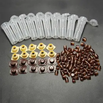 

10Pcs/Set Bees Tools Cages King Queen Rearing Cupkit System Beekeeping Catcher Box Cell Cups Cage Nicot Complete Kit Apicultura