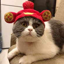 Funny Headwear for Cats Sunflower Dress Up Costume Pet Hat Cosplay Animal Keep Warm Chinese Style Headgear Cat Accessories