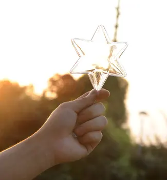 

Transparent Plastic Hexagon Star Shape Candy Box Eternal Flower Container Christmas Tree Hanging Decor