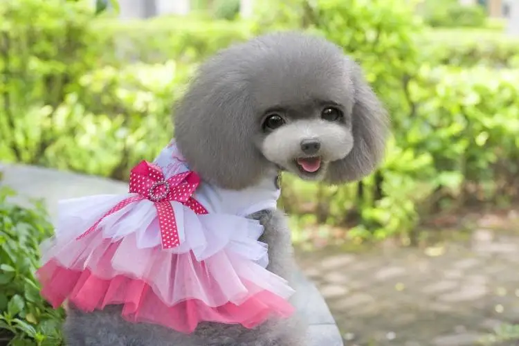 TB2rfgabVXXXXcWXXXXXXXXXXXX_!!154920809