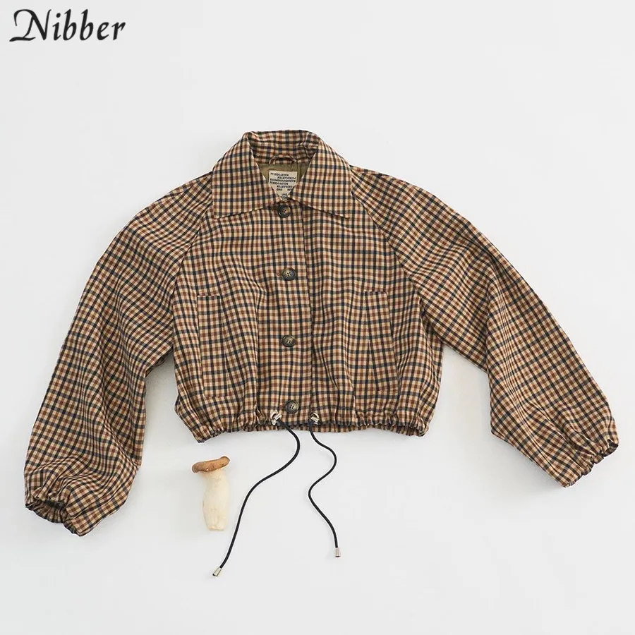 Nibber