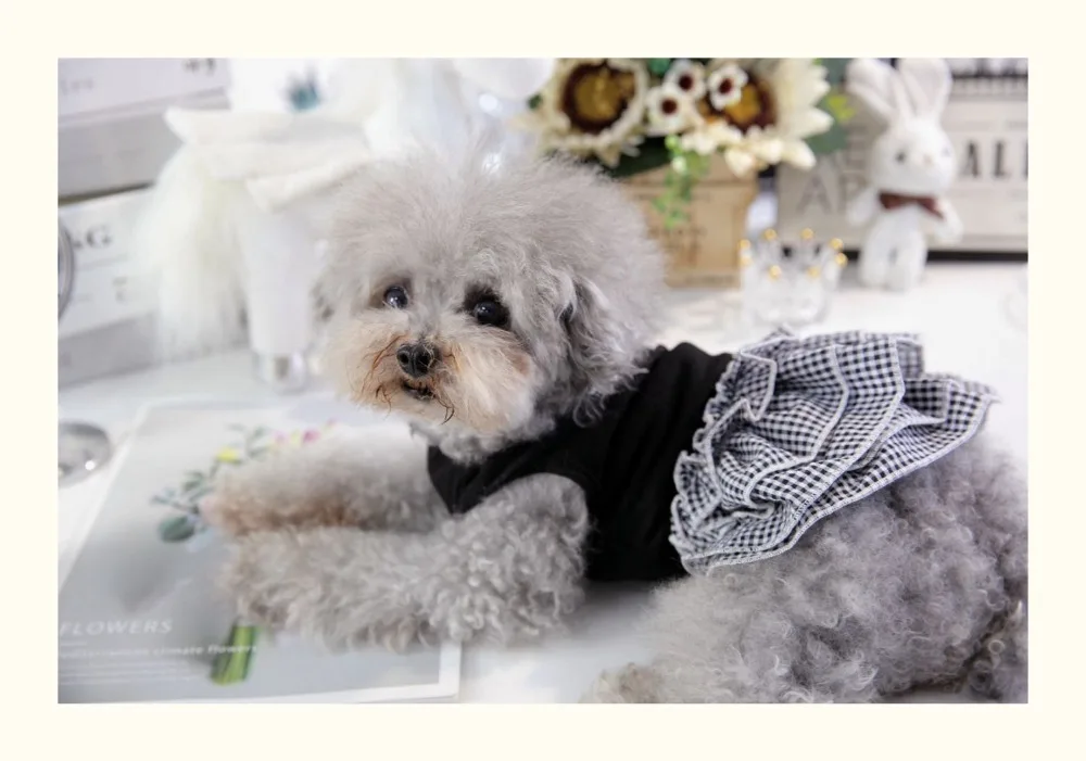 O1CN019EoHQm219U5X6ZOd2_!!323036942 (2)