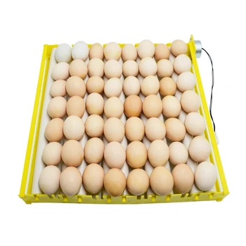 

Automatic 360 Degree Rotary Egg Turner Roller Tray Farm Incubation Tool Duck Quail Bird Poultry Eggs Hatching Incubator