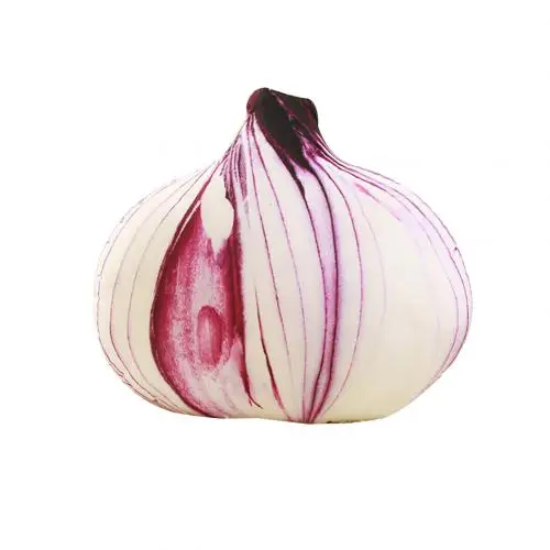 Onion 3D моделирование плюшевая игрушка лук манго фрукты плюшевая кукла игрушка Диван стул домашний Декор подарок - Цвет: Onion
