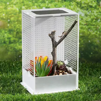 

Transparent Acrylic Reptile Feeding Box Insect Box Mantis Breeding Box Insect Reptile Cage Terrarium Feeding Box