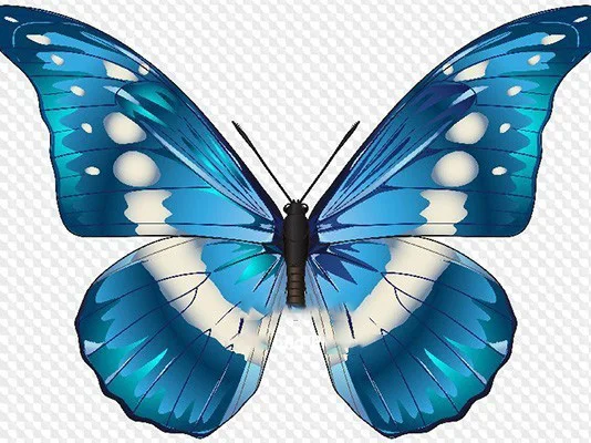 

Diamond Embroidery Animal Butterfly Drilling New Diamond Painting Animal Home Frescoes Holiday Gifts