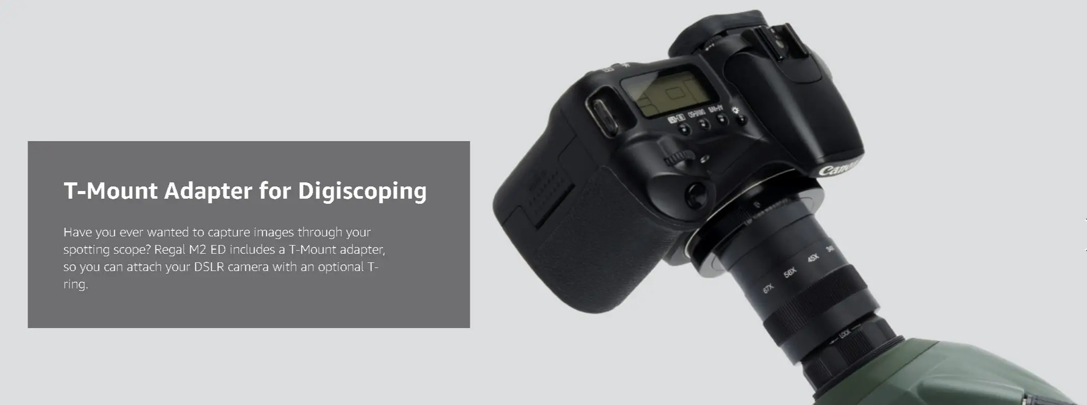 Celestron regal m2 65ed spotting scope multi