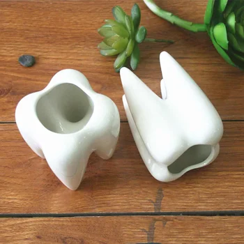 

2Pcs Teeth Garden Planter Mini White Ceramic Flower Plant Succulent Pots Containers