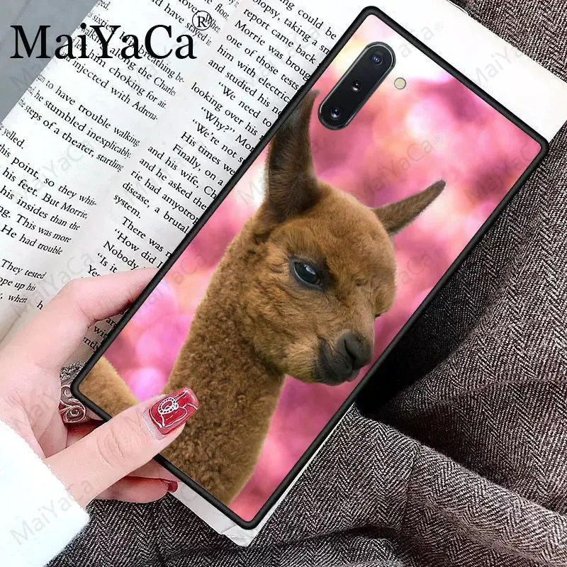 Cute Goat Meme Alpaca