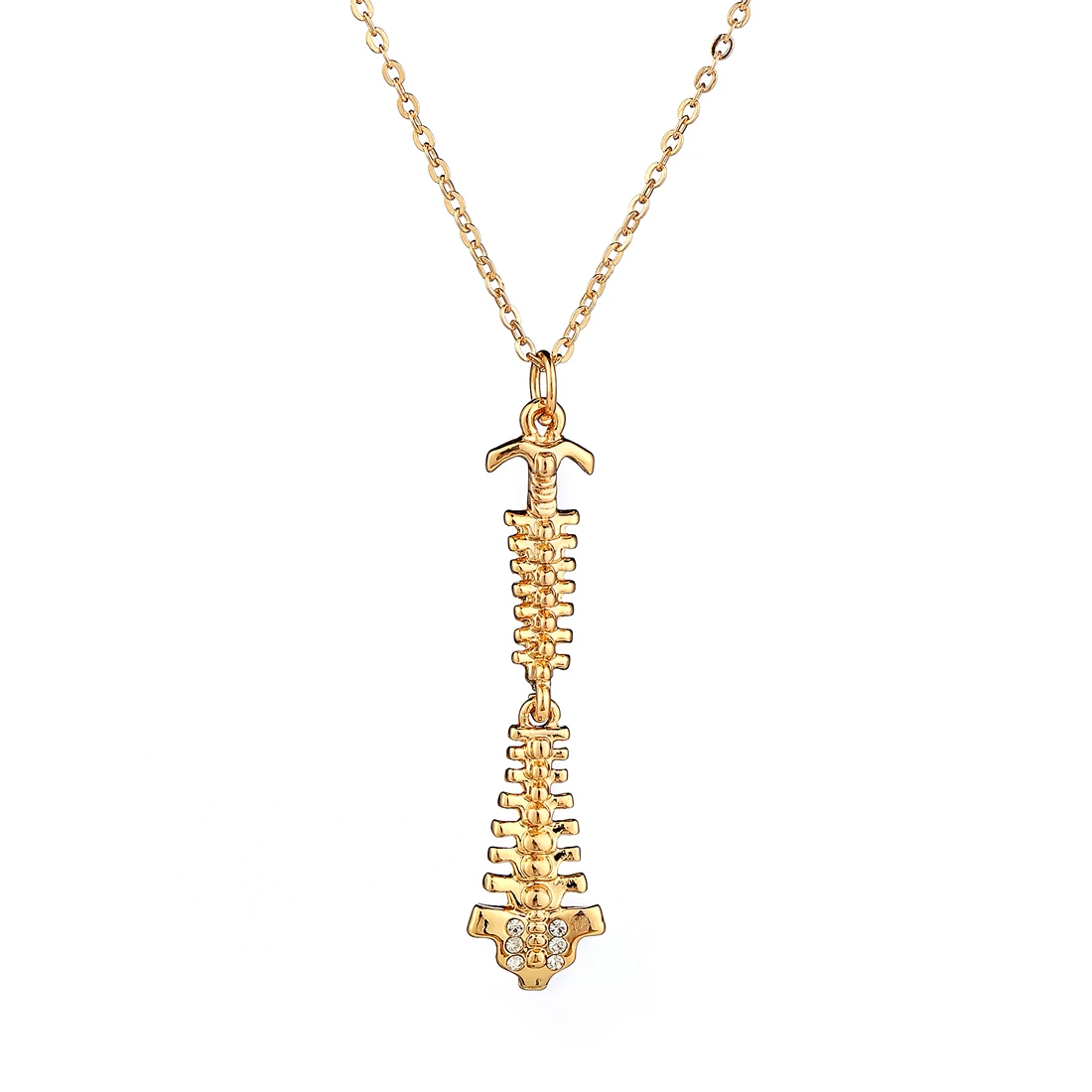 

Gold Spine Pendant Necklace Women Men Medical Jewelry Chiropractor Physical Therapist Doctor Gift Spinal Cord Jewellry Wholesale