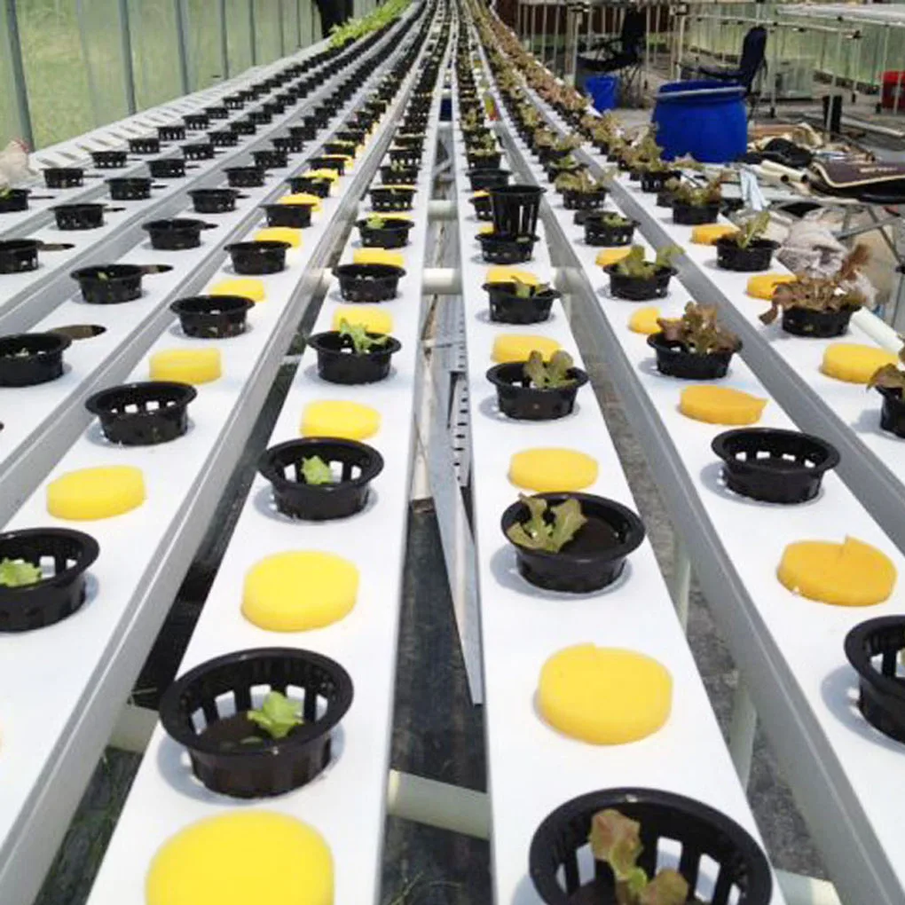 10 шт./компл. гидропонная растительная сетка цветочный горшок посадочный контейнер Aeroponic завод чашка для выращивания Soilless корзинка для выращивания
