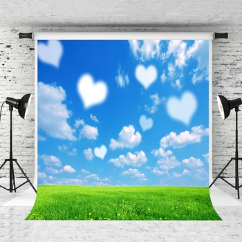 

VinylBDS 200x300cm Spring Photo Backdrops Love Bright Backgrounds Blue Sky Backdrops Photography Fondos For Valentine'S Day