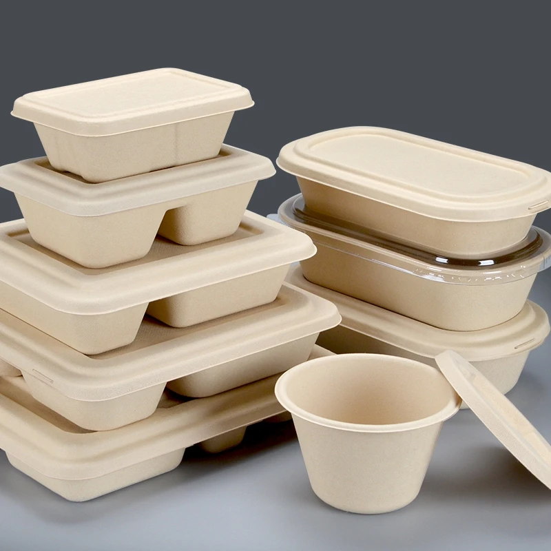 Biodegradable Pulp Paper Food Container Disposable Food Container