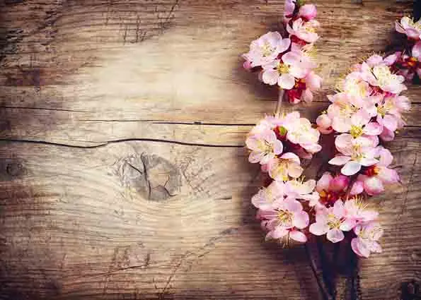 

SHUOZHIKE Vinyl Custom Photography Prop Flower Wood Planks Board theme Photo Studio Background T191009-3022