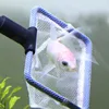 Pet Products
