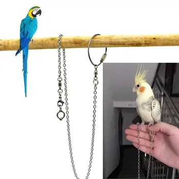 

1 Pcs Pet Parrot Leg Ring Ankle Foot Chain Bird Ring Outdoor Flying Training Activity Opening Stand Accessories Bird Supplies #