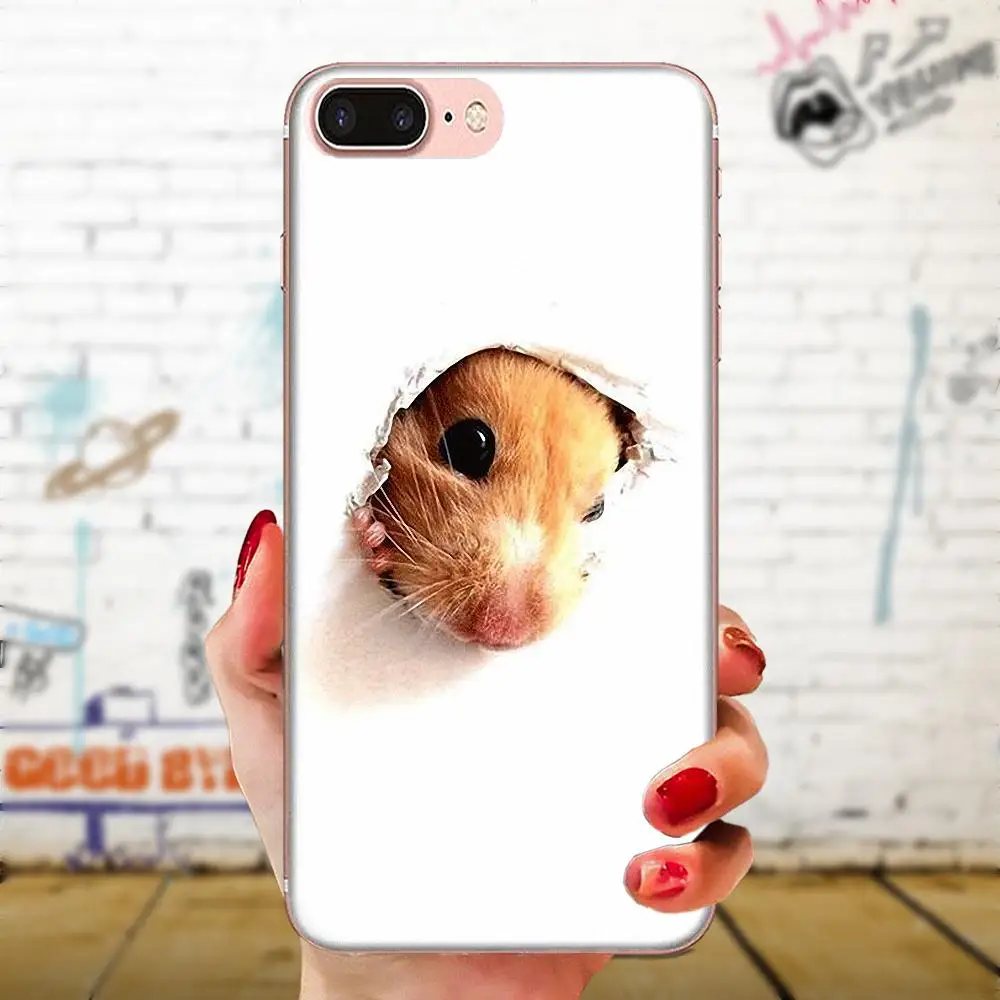 as picture Для Apple iPhone 11 Pro X XS Max XR 4 4s 5 5C 5S SE 6 6S 7 8 Plus прозрачные чехлы из термопластичного полиуретана белка арахис мышь - Цвет: as picture