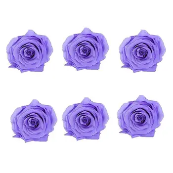

1 Box 6 Pcs Immortal Rose Heads DIY Preserved Eternal Life Dried Flowers Decor