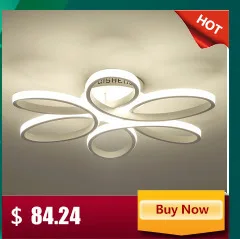 retro Ceiling Lights lamp For Living Room bedroom Ceiling lamps vintage light lampara de techo Wrought Iron Luminaria Lighting