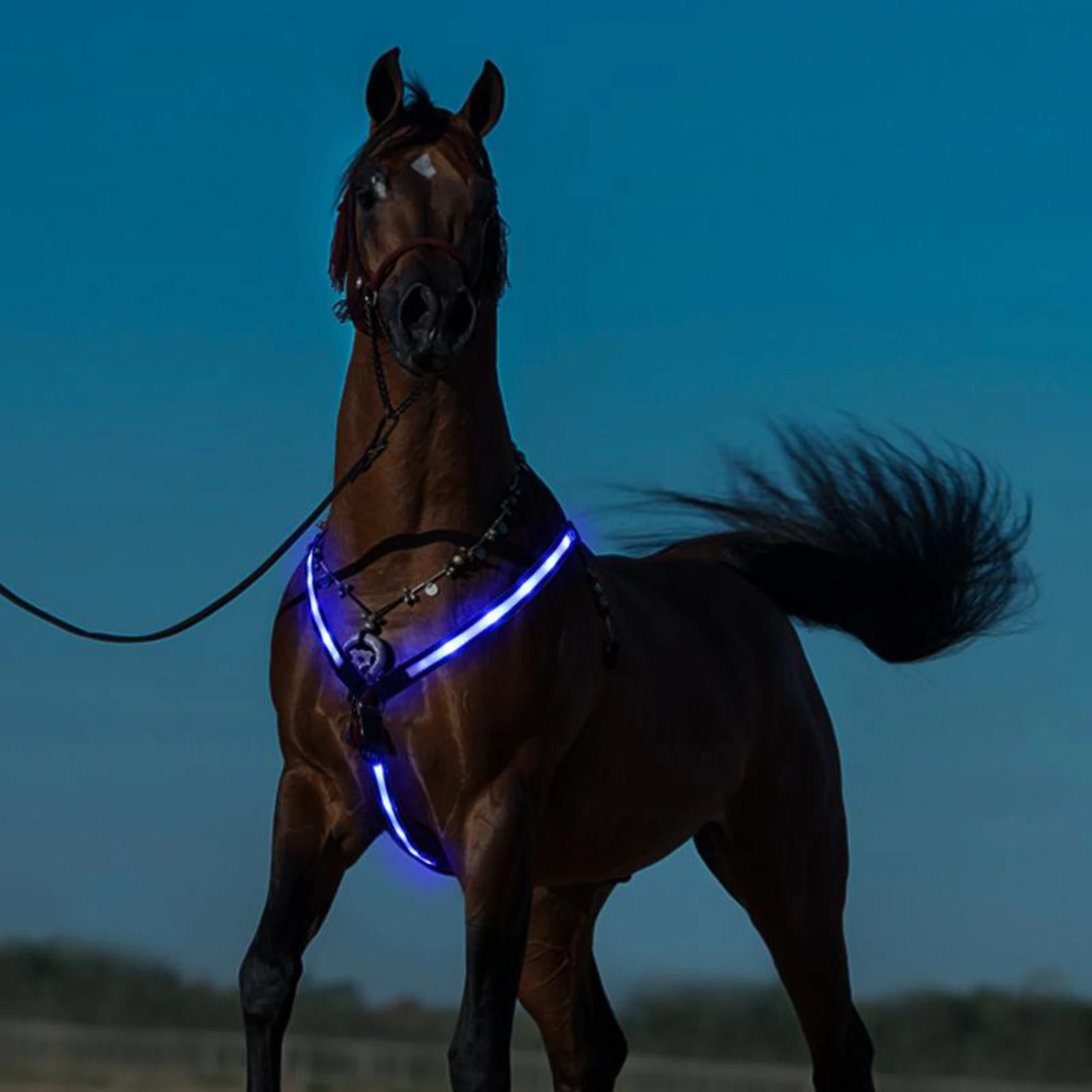 LED Horse Breastplate Collar USB Rechargeable Adjustable Equestrian Safety Gear