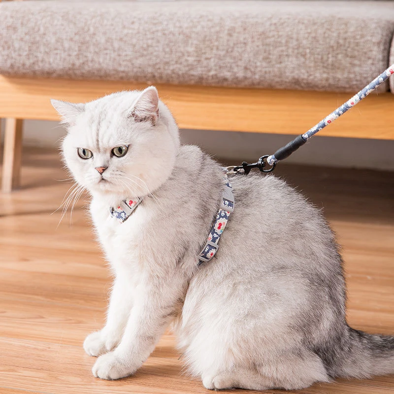 Comfortable Floral Cat Harness Bow Pet Leashes Chest Adjustable Harness Flower Cats Leashes Walk Chest Strap For Cat Collars Comfortable Floral Cat Harness Bow Pet Leashes Chest Adjustable Harness Flower Cats Leashes Walk Chest Strap For Cat Collars