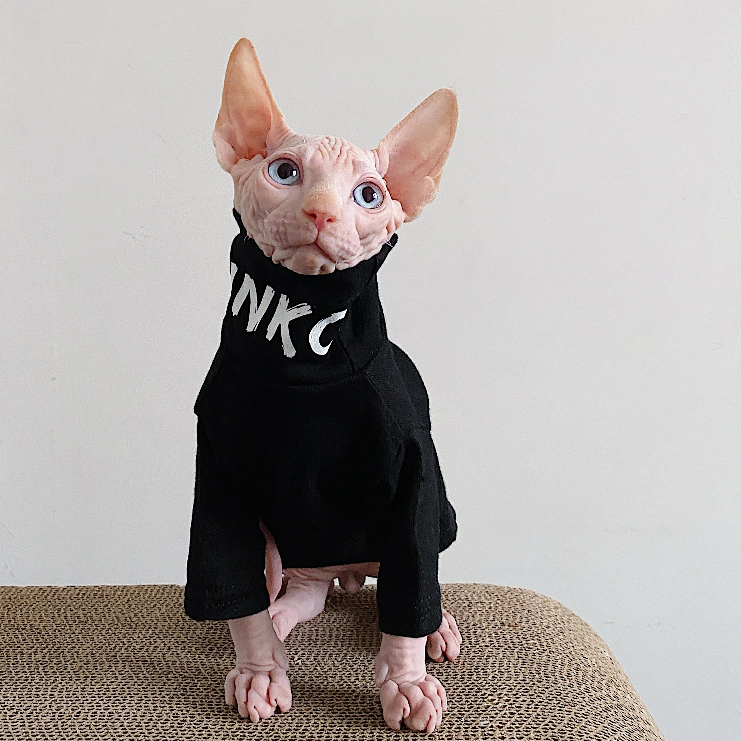 

Hairless Cat Clothes Sphinx Devon Clothes Elastic Cotton Anti Allergy Autumn Winter T-shirt Clothing For Cats Small Dogs Clothes
