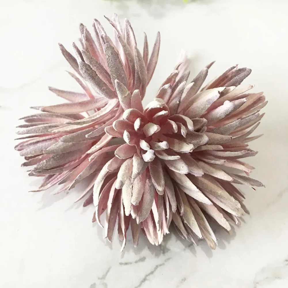 2020_07_09_18_00_IMG_8738 副本