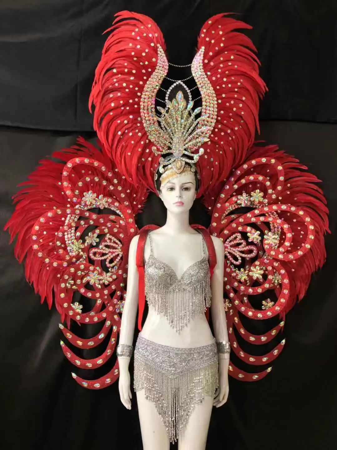 Lo speedtacolo di danza copricamo di piume di accessori di abbigliamento La FESTA La Maschera IL Festival
