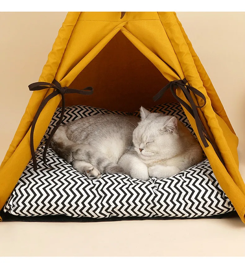 British Shorthair cat sleeping inside a cat tepee with a comfortable cushion