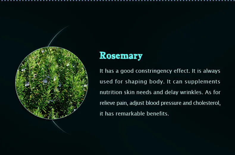 rosemary_02