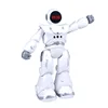LISM RC Robot Toy Gesture Induction Intelligent Vector Robot Robots Dancing Programmable English Version Toys For Children Gift 2