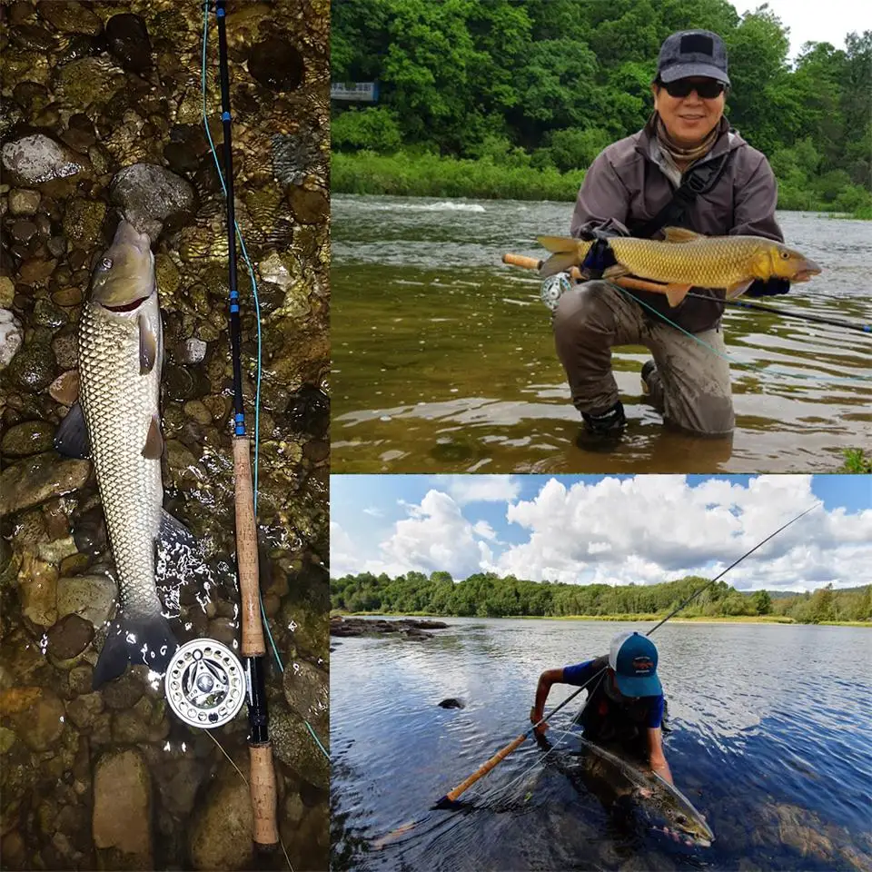 Maximumcatch Skagit Shooting Head Fly Fishing Line With 2 Welded Loops 17-29FT 200-650gr Double Color Floating Fly Line Maximumcatch Skagit Shooting Head Fly Fishing Line With 2 Welded Loops 17-29FT 200-650gr Double Color Floating Fly Line