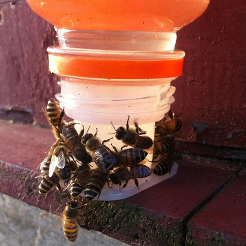 

3pcs Beekeeping Water Feeders Drinking Fountain Equipment Beekeeping Tools White Plastic Bee Water Feeder Garden Cup Tool hot