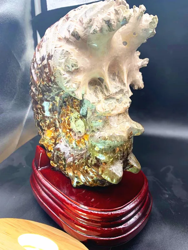 Редко. Fossil из мадагаскарского аммония. Вымершие окаменелости рога. fossil chakra