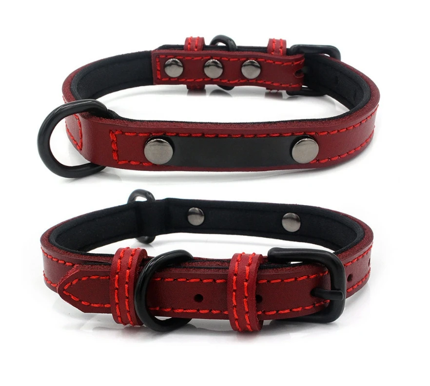 dog collar belt online