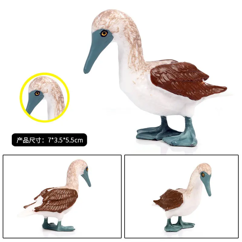 1set4pcs красивые разноцветные качественные игрушки для птиц смеющиеся kookaburra Черноголовая чайка голубоногая Буби дятлы для детей подарок