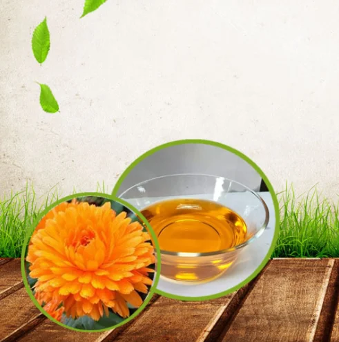 

Organic Calendula Oil - Injecting Calendula into Organic Sunflower Oil to Suppress Anti-Inflammatory and Sensitive