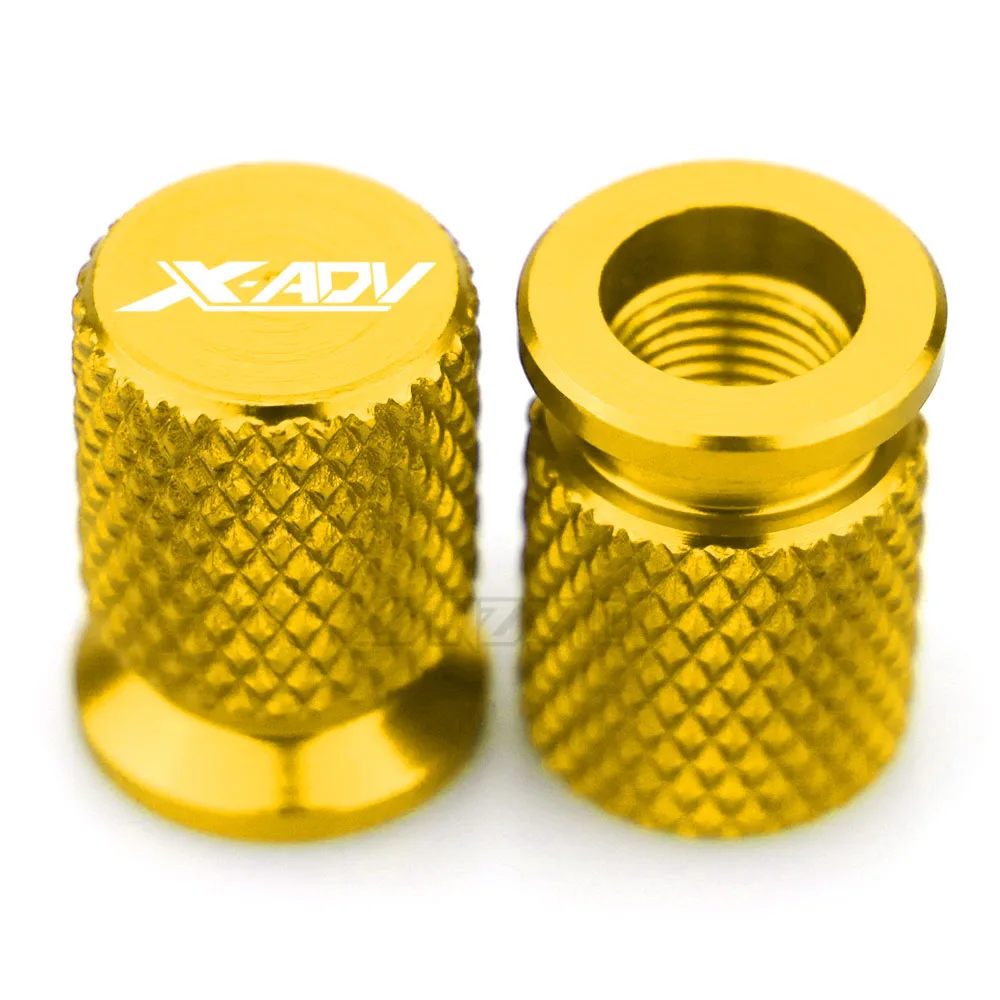 X-ADV TYRE VALVE (17)