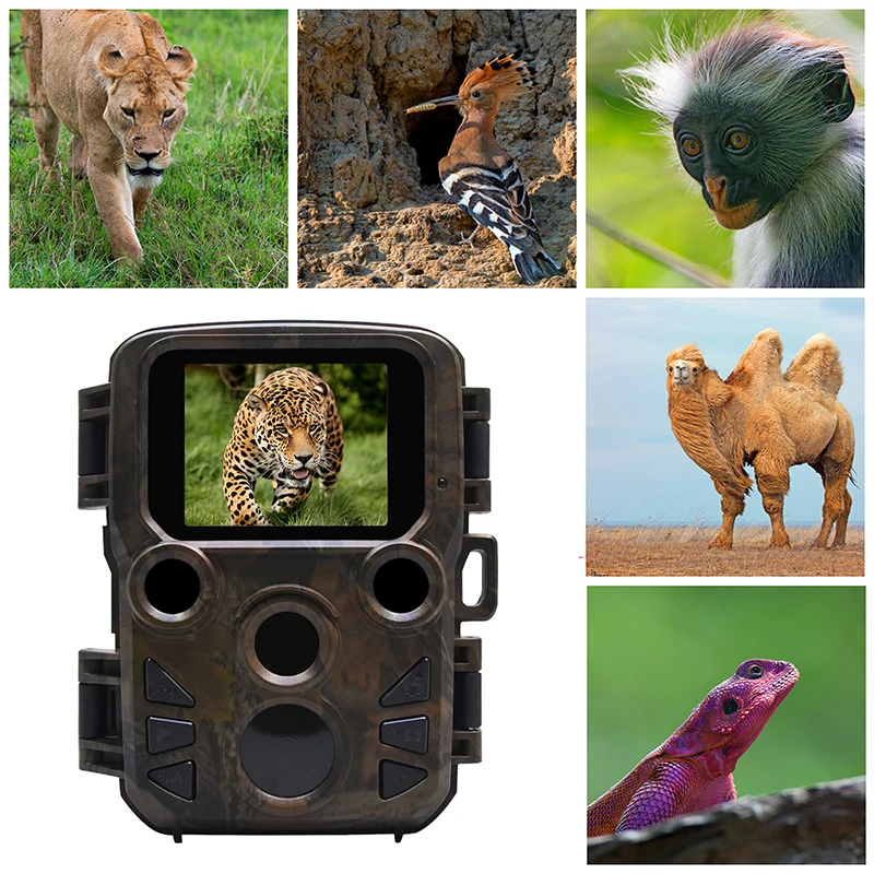Mini câmera de trilha para caça, câmera de visão noturna com 12mp 300 p para animais selvagens, caça, área infravermelha, alcance ir de até 65 ft foto armadilhas|Câmeras de caça| - AliExpress