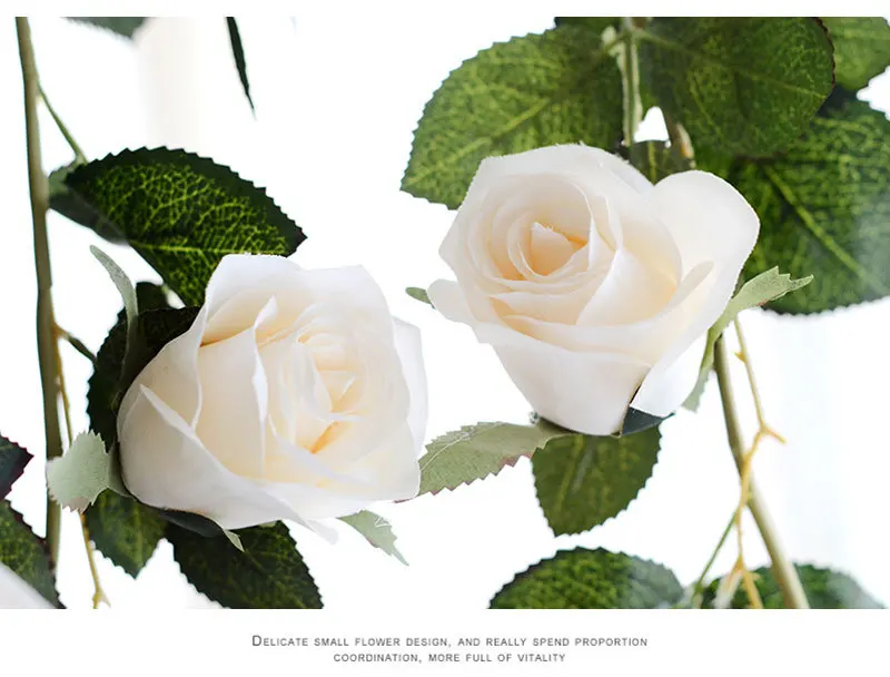 3644680640_1585245758