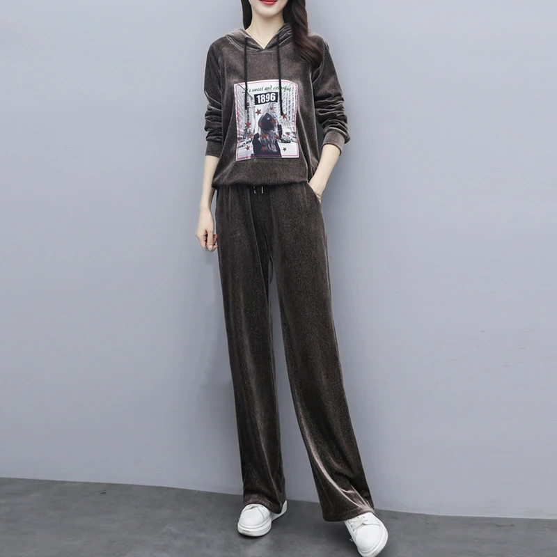 

Hoodies Suit Spring Autumn Casual Tracksuit Women Pleuche 2 Pieces Set Velvet Sweatshirts Pullover Home Sweatpants Outfits