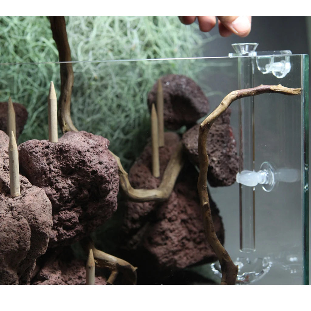 Aquarium Clear Acrylic Flower Shape Shrimp Feeding Feeder Dish Food Basin with Suction Cup