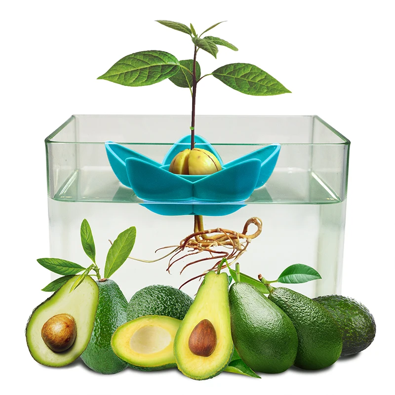 Upgrade Kitchen Gardening Gifts for Women Avocado Planting Tray with Plant Holder Pot HENMI Avocado Growing Kit