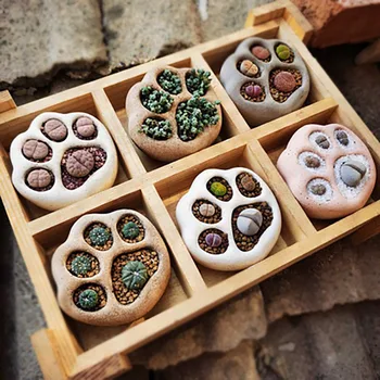 

3pc/set Creative Cat paw cement flower pot gardening succulent wood flower pot desktop potted creative ornament Garden Planter