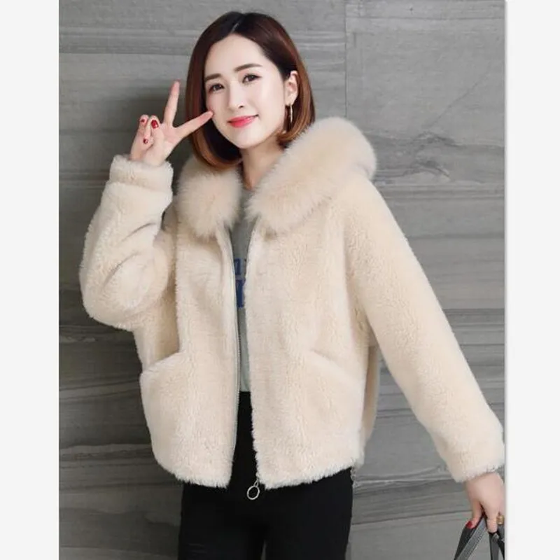 Новое модное осенне-зимнее пальто женское короткое пальто милая и элегантная куртка с капюшоном Женская куртка пальто из искусственного меха